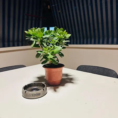 Apartment Cozy With Terrace Tirana
