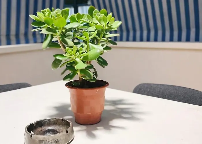 Cozy With Sunny Terrace Tirana